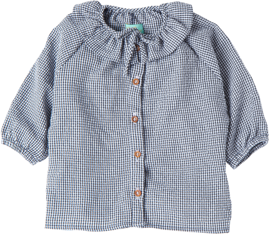 A Blue And White Checkered Shirt