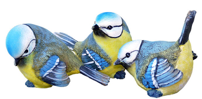 A Group Of Blue And Yellow Birds