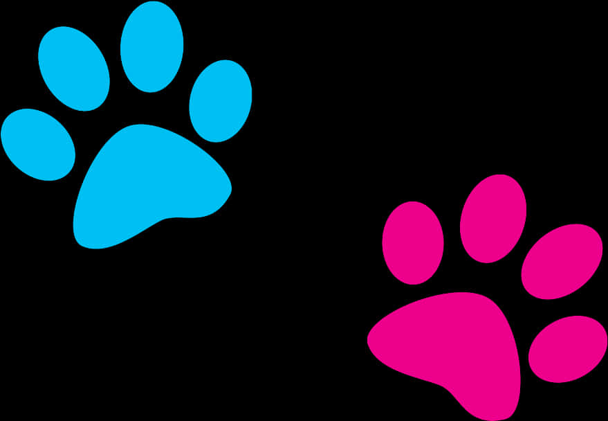 A Blue And Pink Paw Prints
