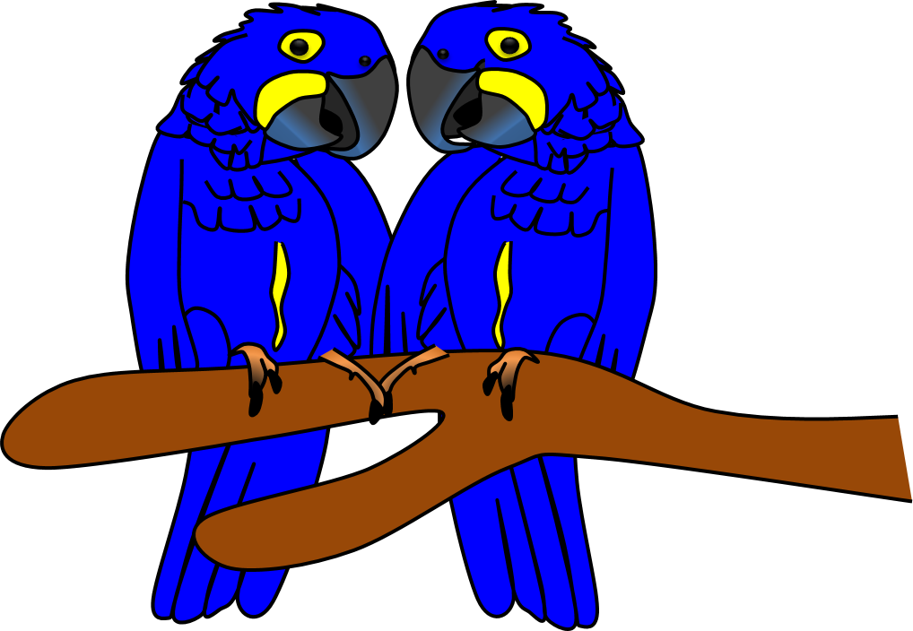 A Couple Of Blue Parrots On A Branch