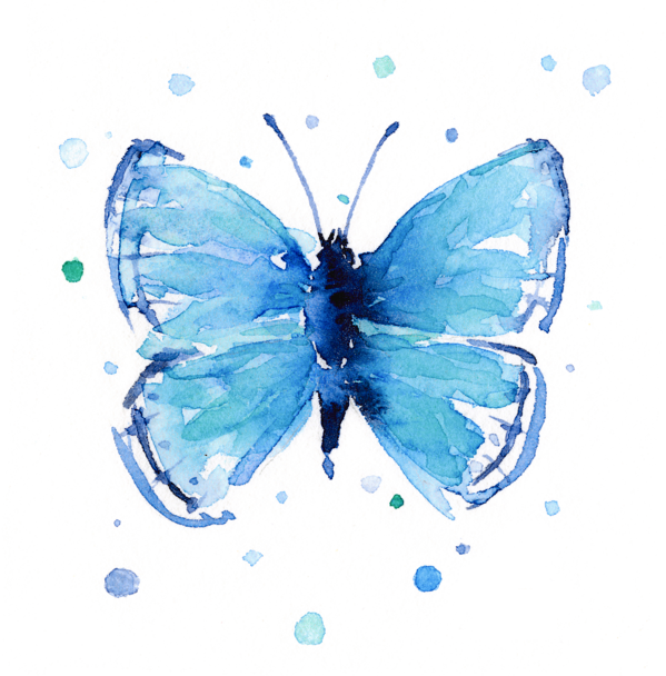 A Blue Butterfly With Black Background