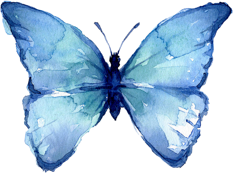 A Blue Butterfly With Black Background