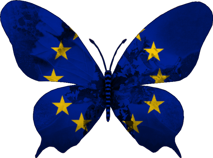 A Butterfly With A Flag Of The European Union