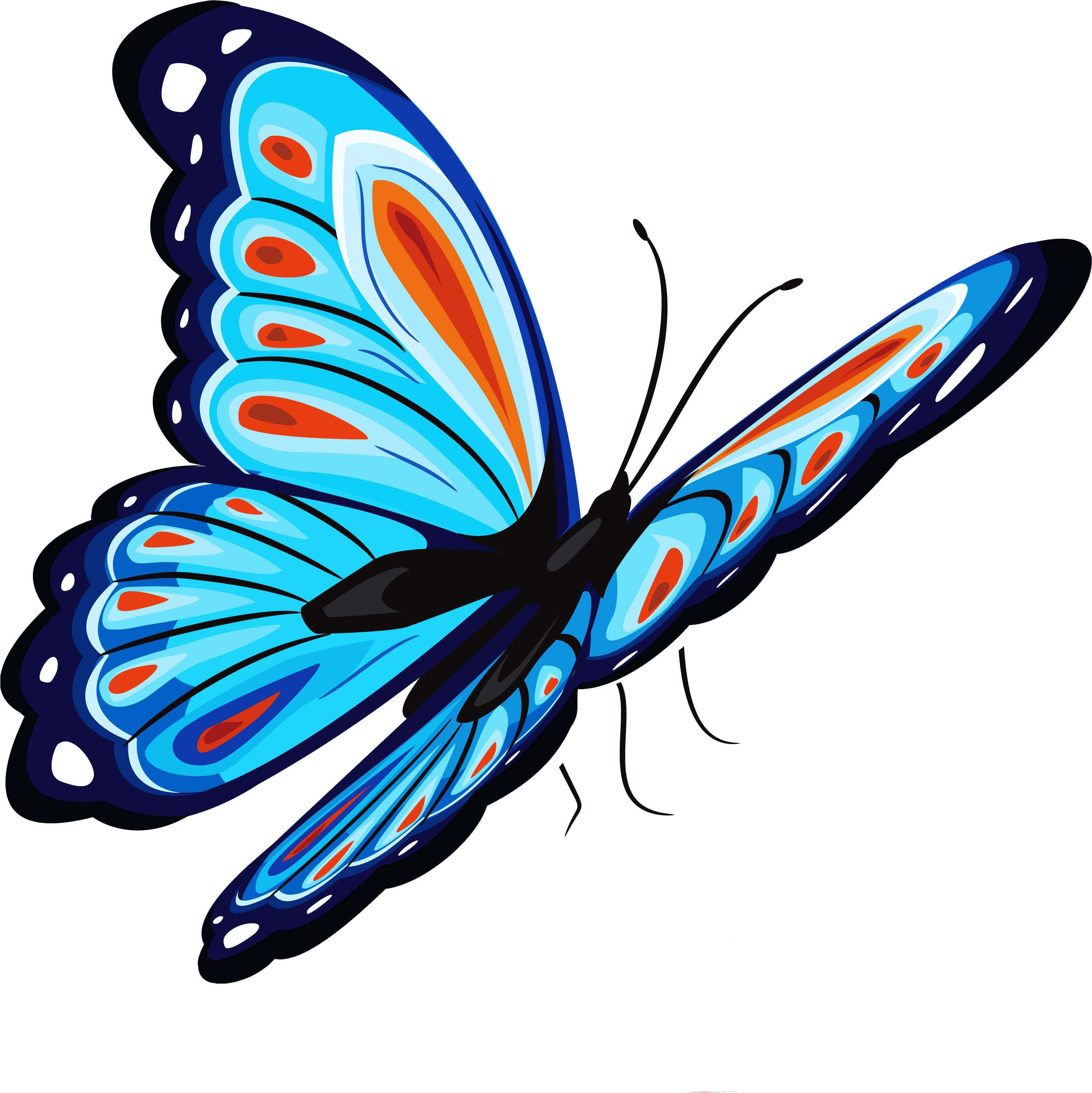 A Blue Butterfly With Orange And White Spots