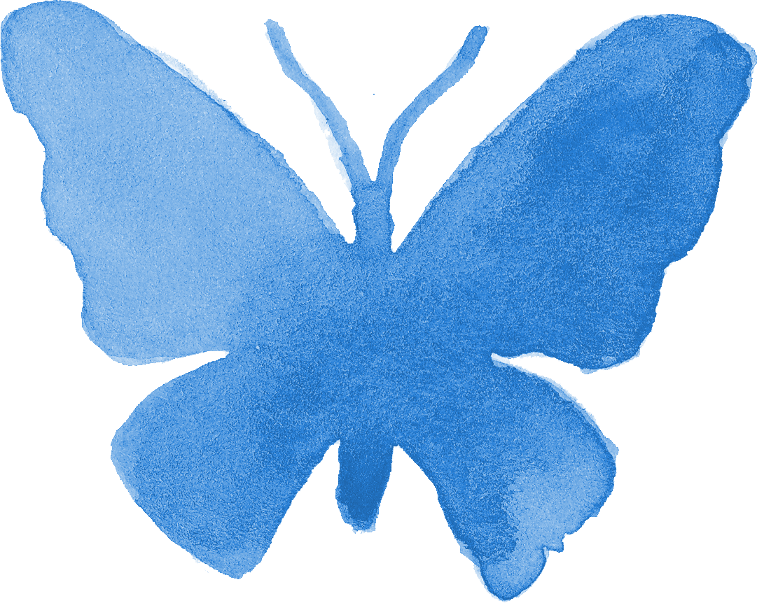 A Blue Butterfly On A Black Background