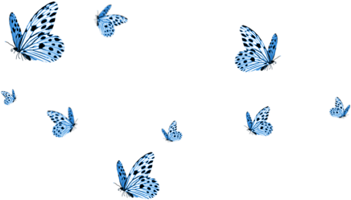 A Group Of Butterflies On A Black Background