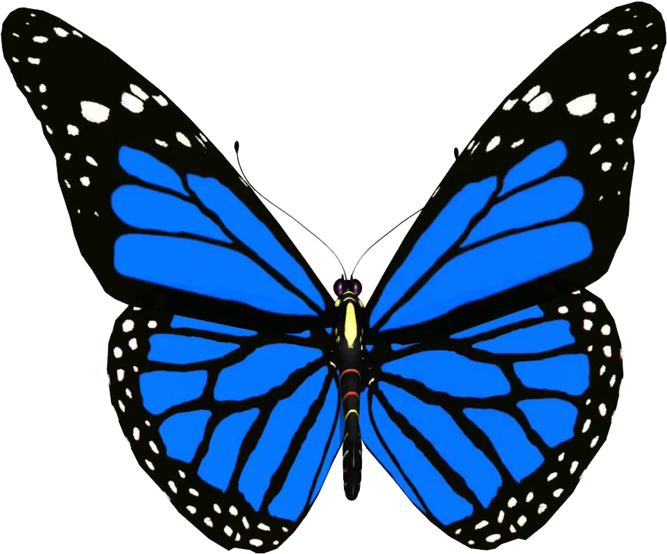 A Blue Butterfly With White Spots