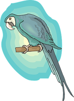 A Blue Parrot On A Branch