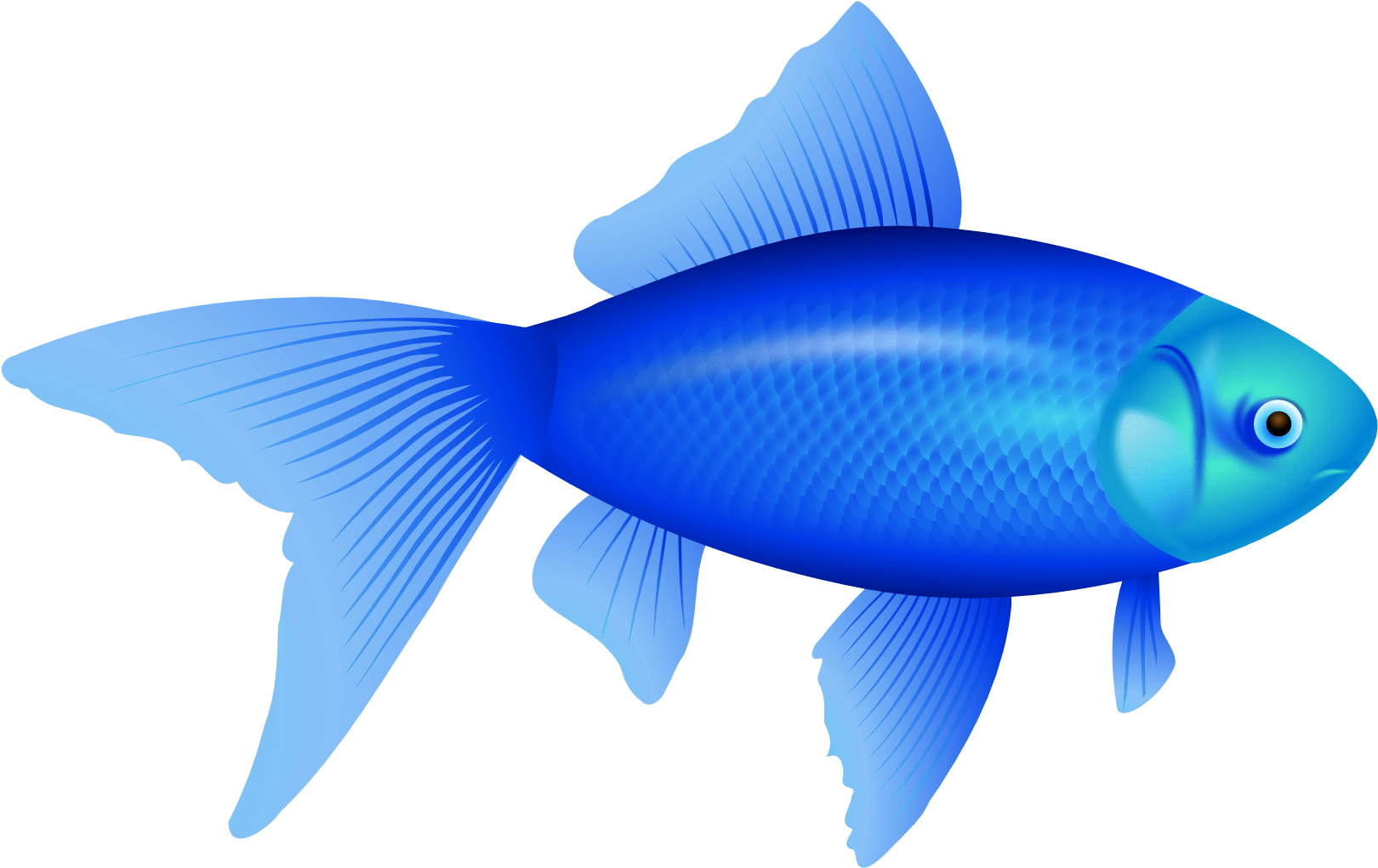 Blue Fish Clipart, Hd Png Download