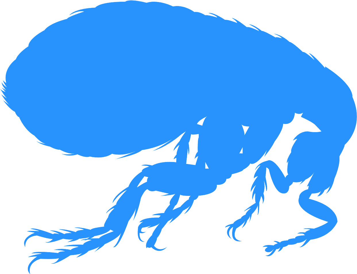 A Blue Bug Silhouette On A Black Background