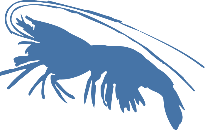 A Blue Silhouette Of A Lobster