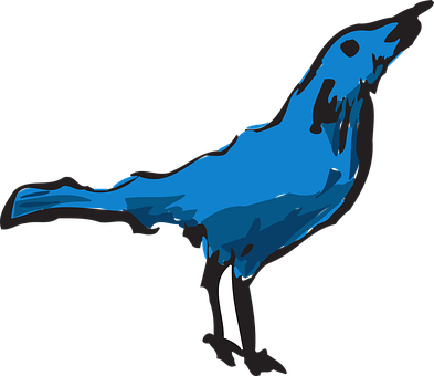 A Blue Bird With Black Background
