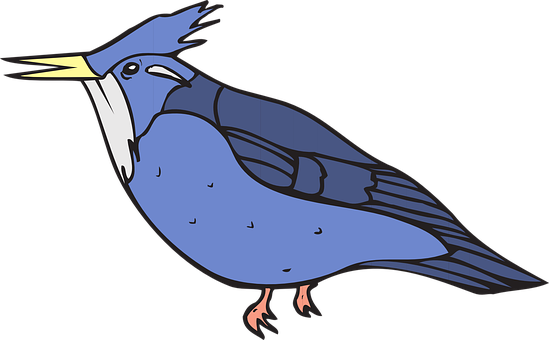 A Blue Bird With White Beak