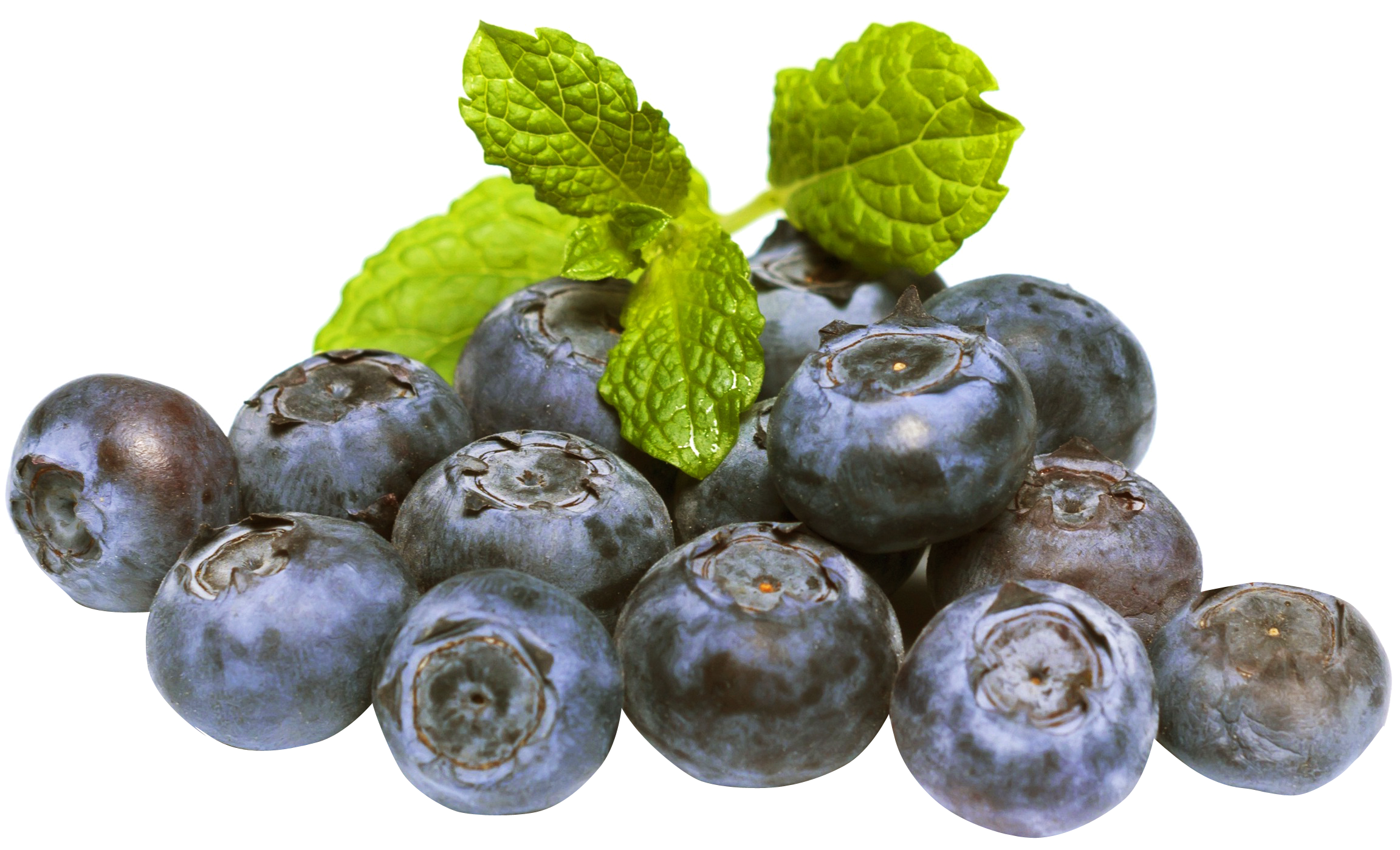 Blueberries Png 2304 X 1399