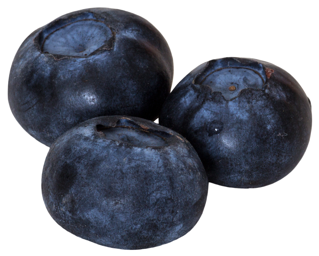 Blueberries Png 1109 X 890