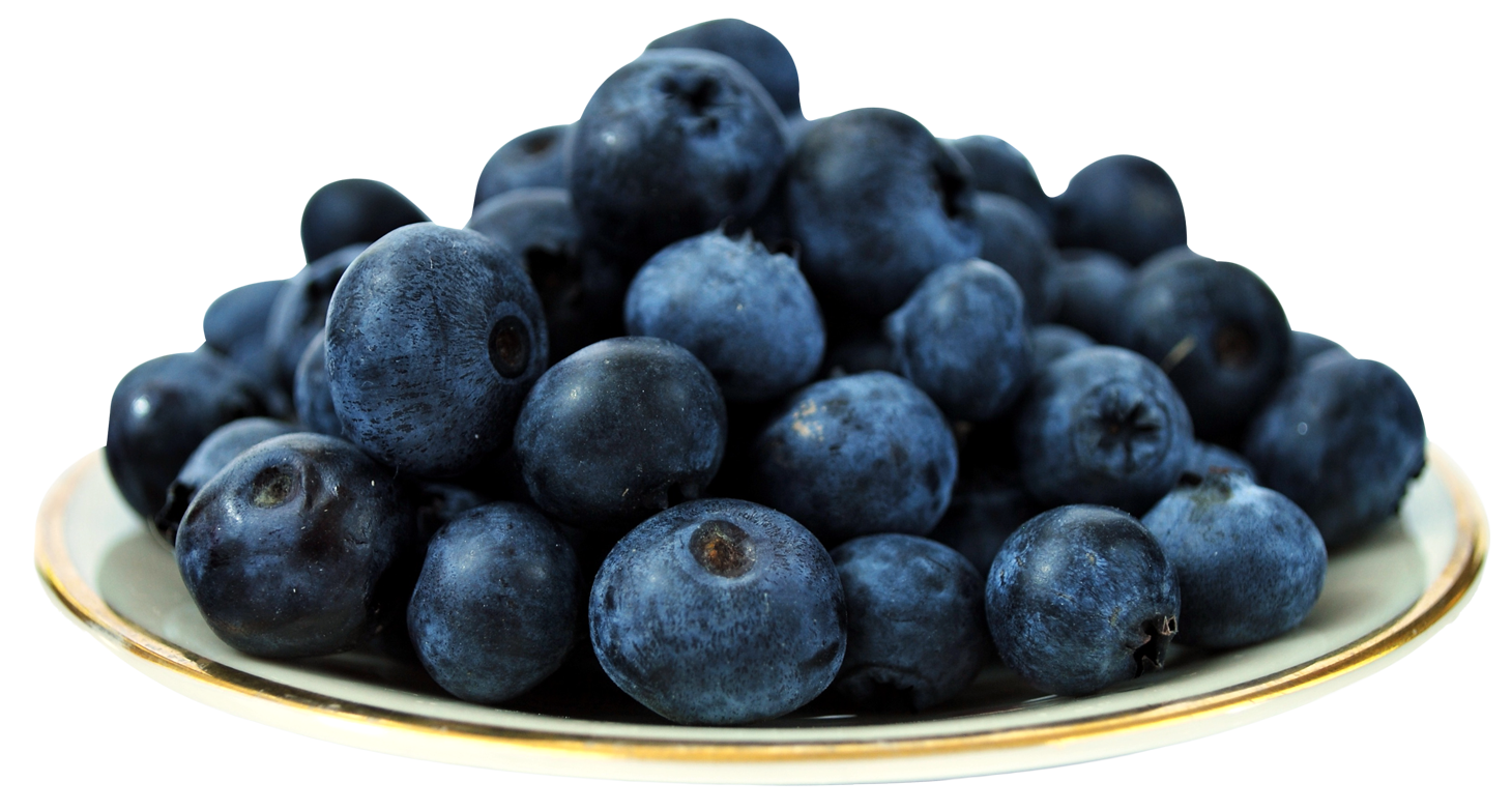 Blueberries Png 1460 X 783