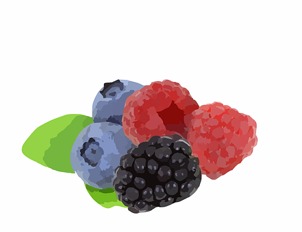 A Group Of Berries On A White Background
