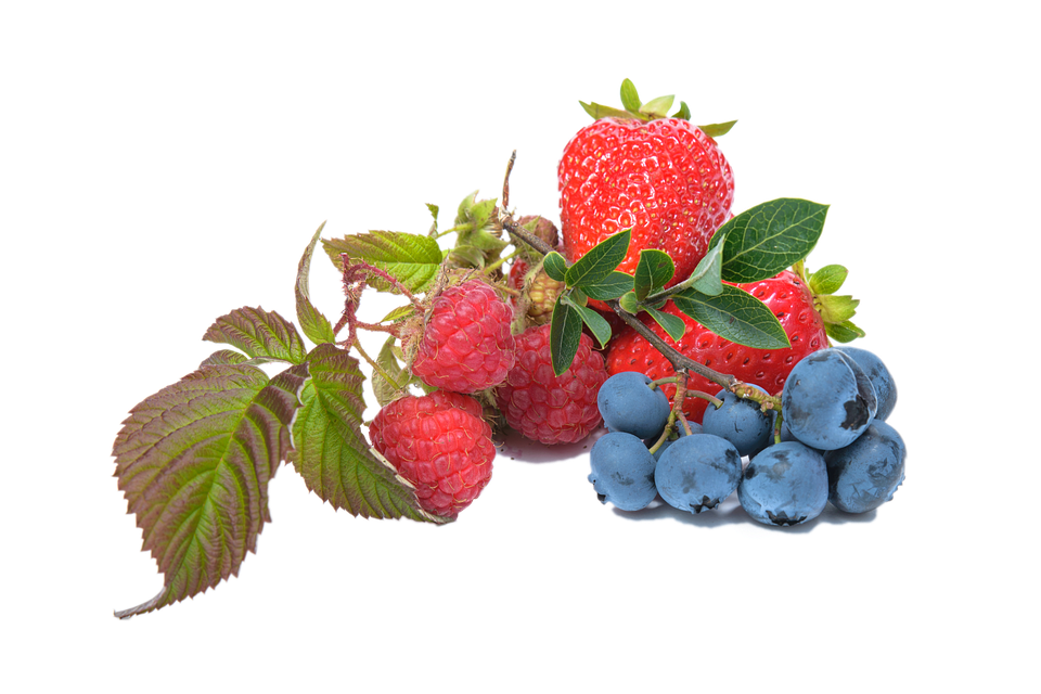 Blueberry Png 960 X 640