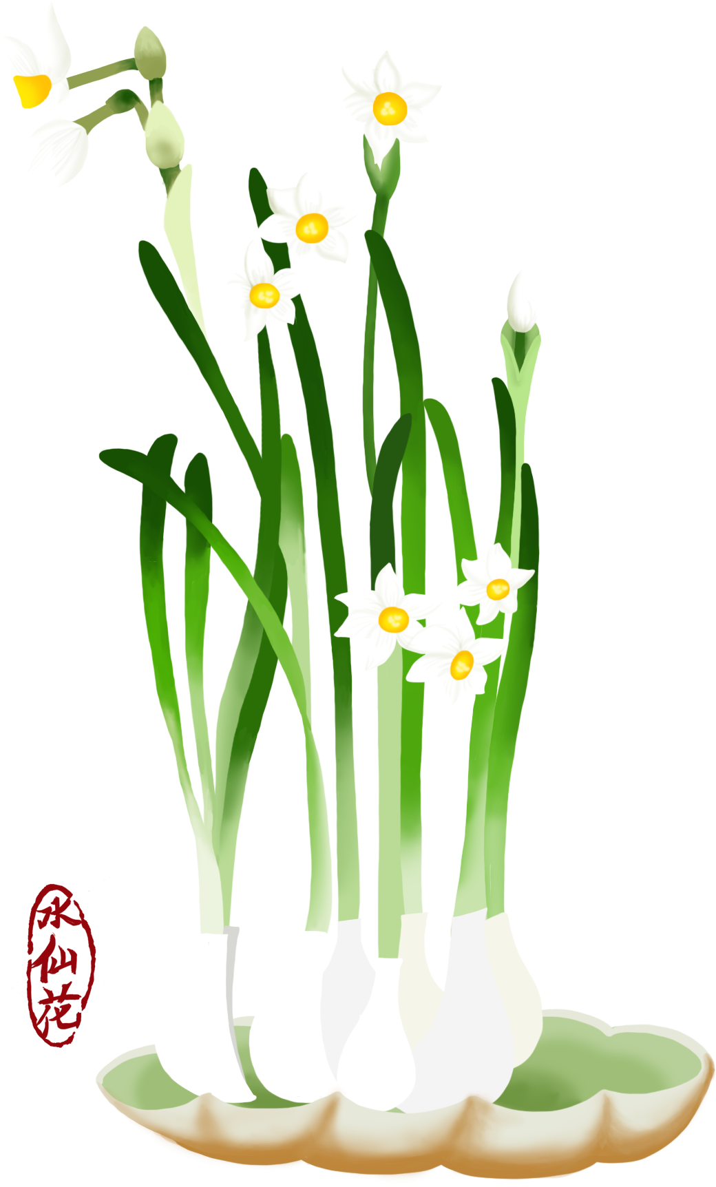 A Group Of White Flowers And Green Stems