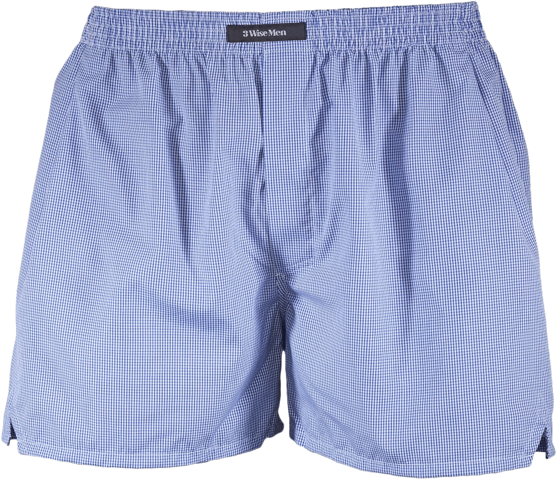 A Pair Of Blue And White Boxer Shorts