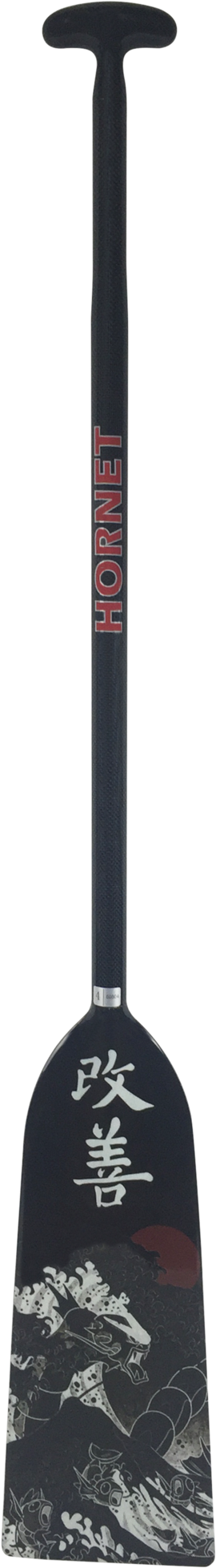 A Black Pole With A White Light