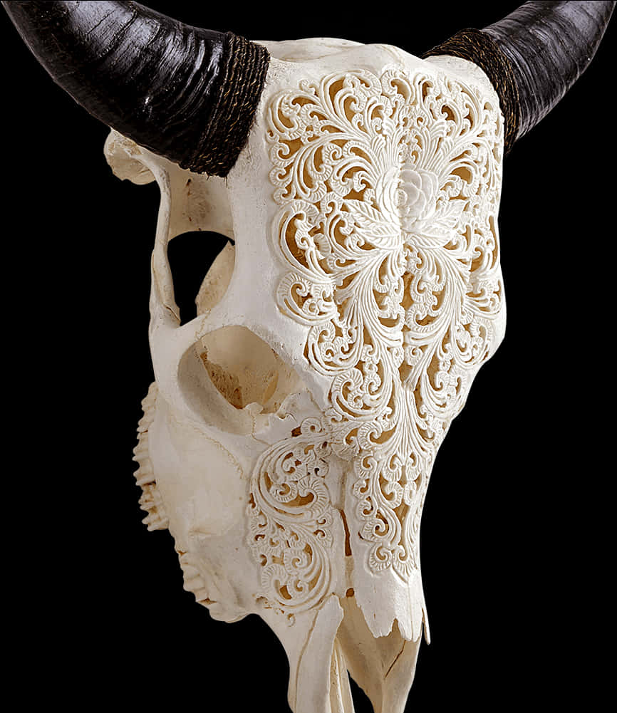 Boho Animal Skull Png - Carved Cow Skull Xl Horns Glowing Mandala