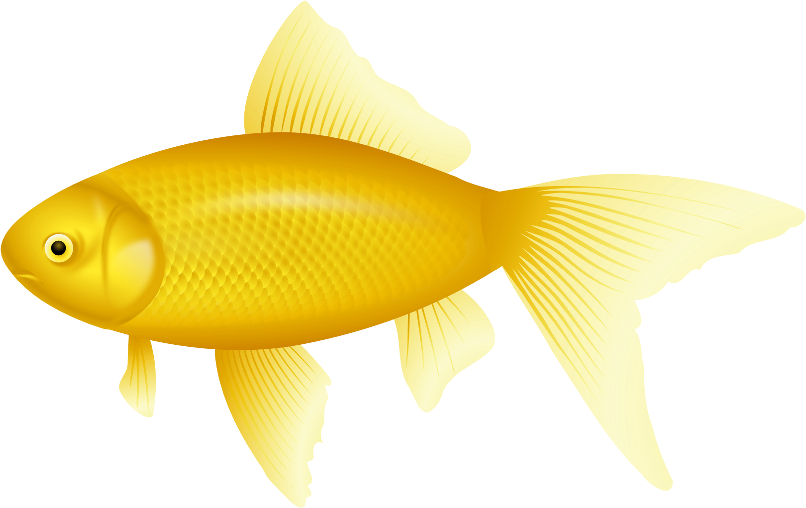 Bony-fish - Transparent Background Fish Clipart Png, Png Download