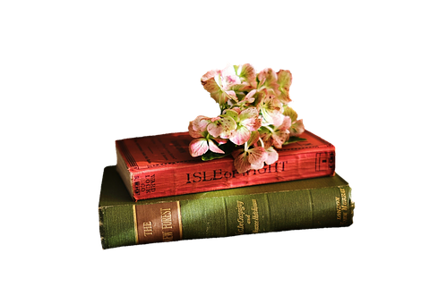 Flowers On Top Of Books