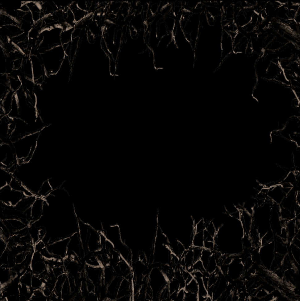A Frame Of Branches On A Black Background