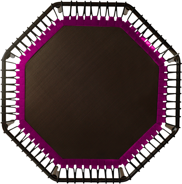 A Black And Purple Trampoline