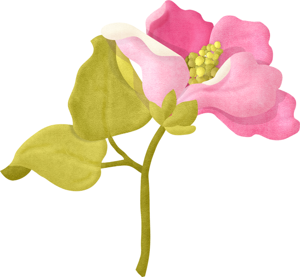 Bougainvillea Drawing Flower Transparent Png Clipart - Album From Laughter To Memories, Png Download