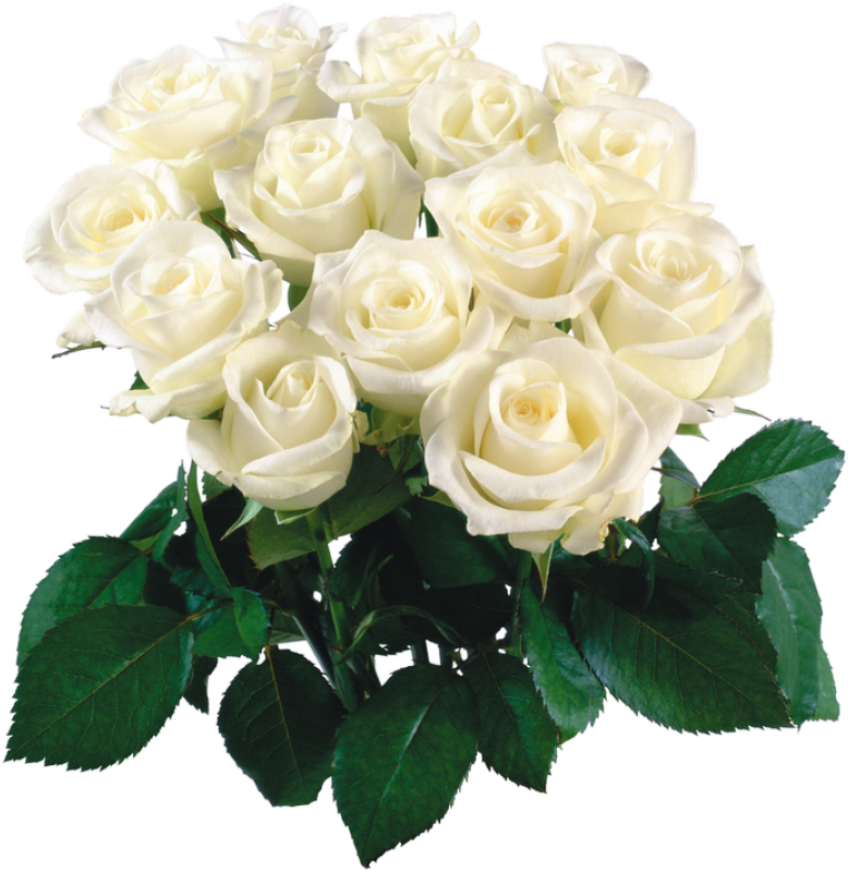 Bouquet Of Flowers White Flower Bokeh Png - White Flower Bokeh Png, Transparent Png