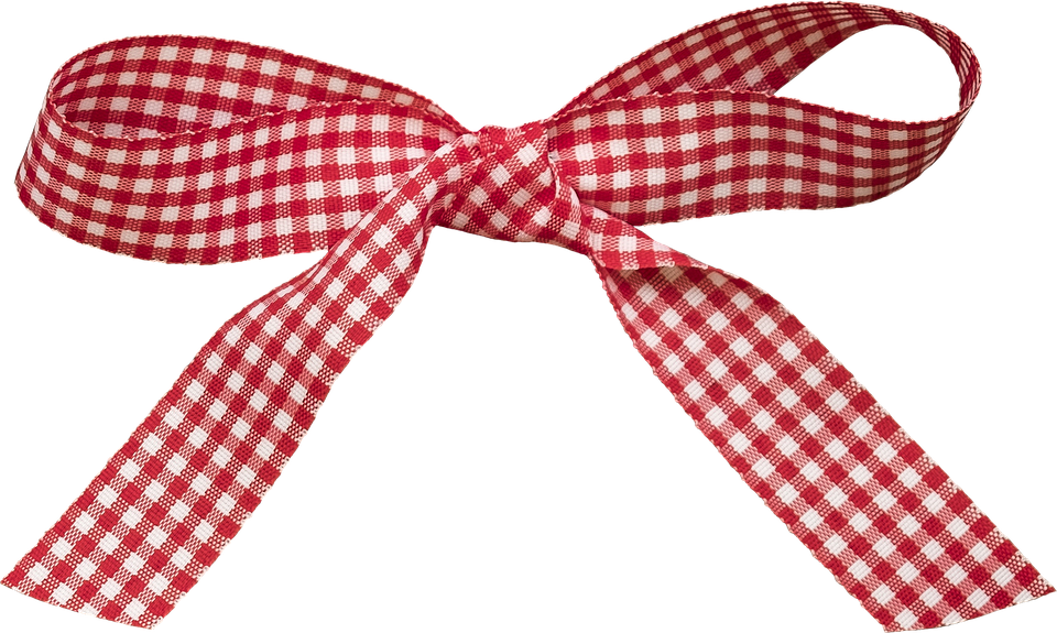 A Red And White Checkered Bow
