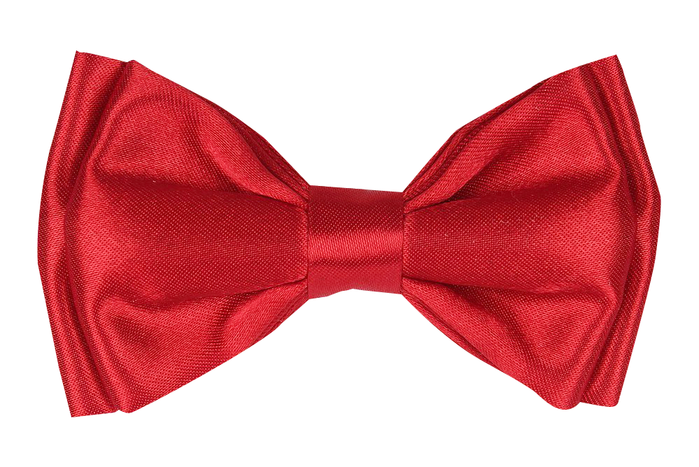 Bow Png 999 X 668