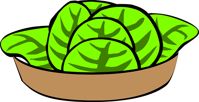 A Bowl Of Lettuce
