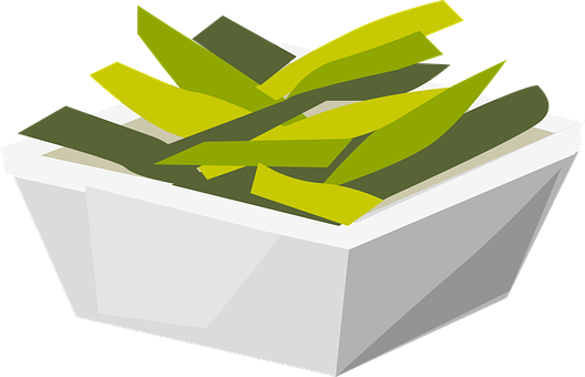 A White Square Container With Green Leaves
