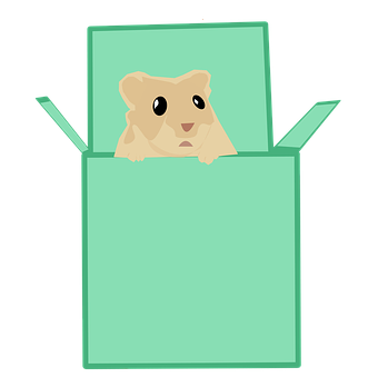 A Hamster In A Box