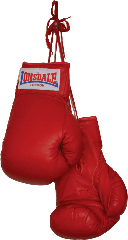 A Pair Of Red Boxing Gloves