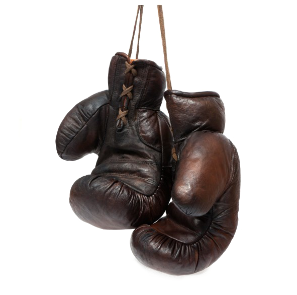 A Pair Of Brown Boxing Gloves