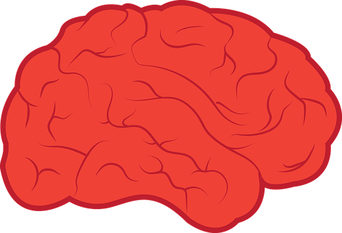 A Red Brain With Black Background