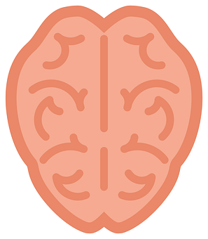 A Pink Brain With White Border