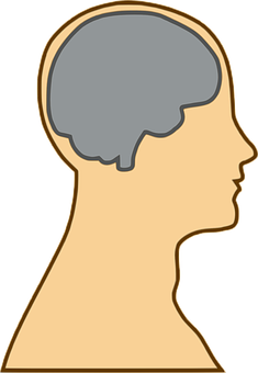 A Profile Of A Person's Head