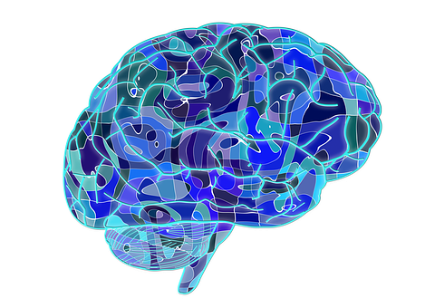 A Blue And Green Brain