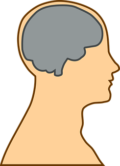 A Profile Of A Person's Head