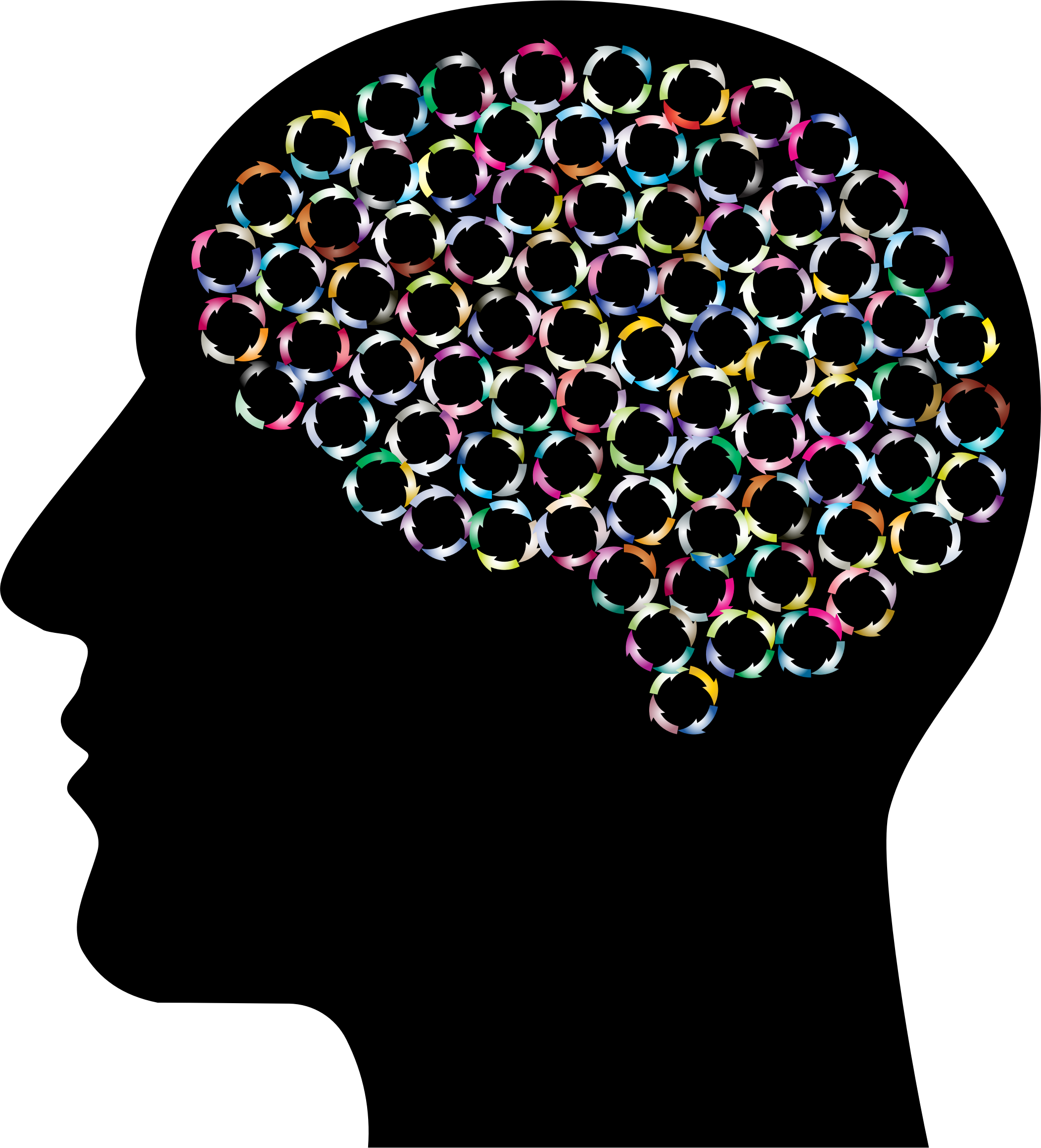A Group Of Colorful Rings In A Shape Of A Brain