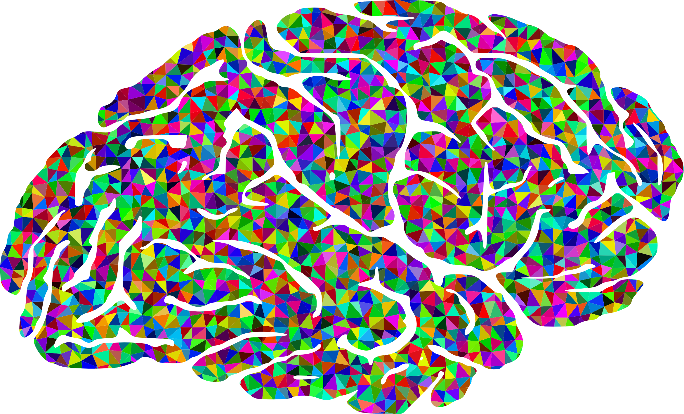 A Colorful Triangle Pattern Of A Brain