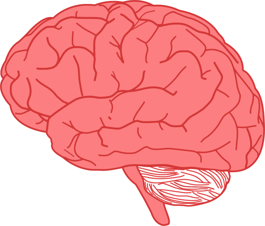 A Red Brain With Black Background
