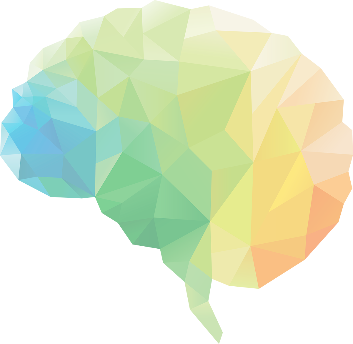 A Colorful Polygonal Brain