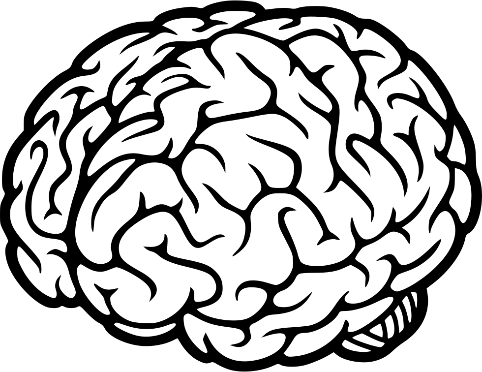 A Black And White Drawing Of A Brain