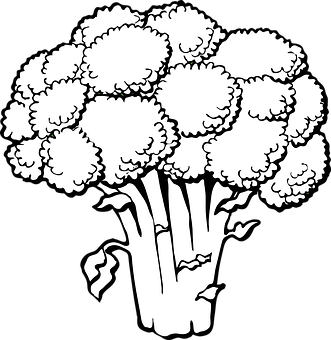 A White And Black Drawing Of A Broccoli